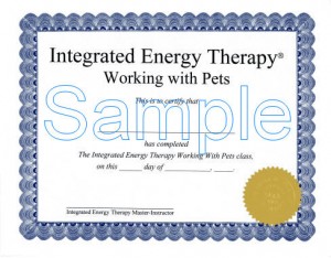 Pets Certificate lower res - with watermark